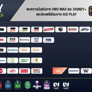 Alternative view of NET Inter Plus Gang