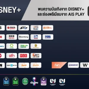 Alternative view of NET Disney Gang