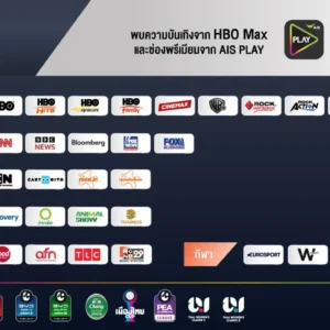 Alternative view of NET Lite Gang