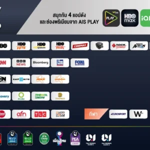 Alternative view of NET Standard Gang